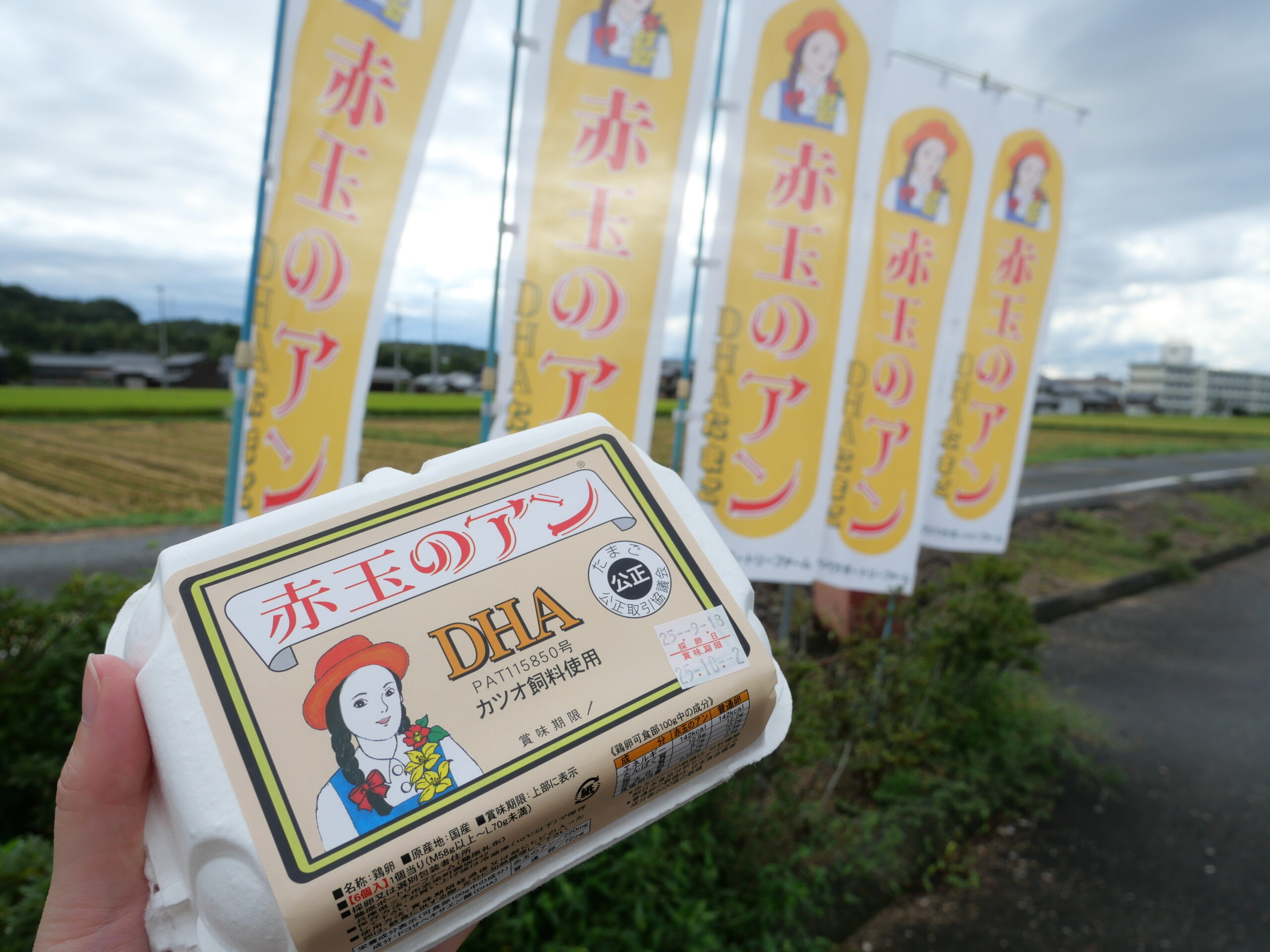三木市グルメ｜ふじわらポートリーファームの鮮度抜群「赤玉のアン」と
